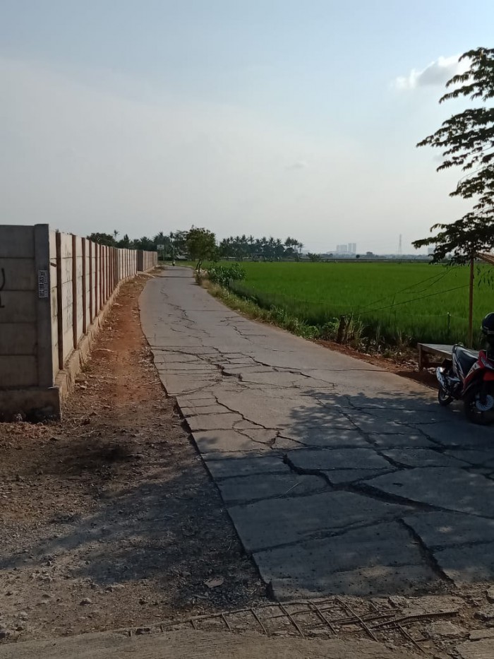 Tanah Sawah Dijual di Buni Asih Permai Cikarang